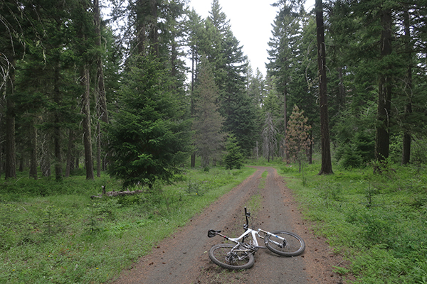 Cloudy damp morning MTB ride