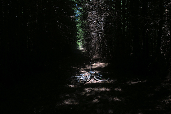 MTB riding on dark forest trail