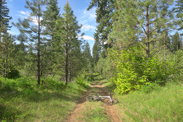 Great MTB riding in the Pacific NW