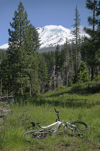 Riding mountain bikes near Mt Adams