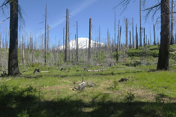 Mountain bike riding near Mt Adams