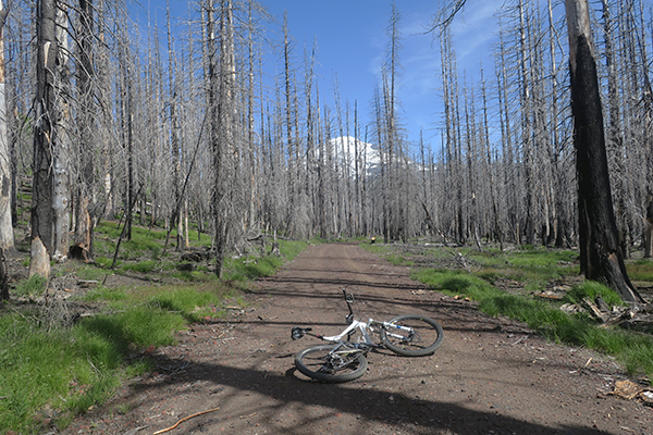 Riding mountain bikes near Mt Adams