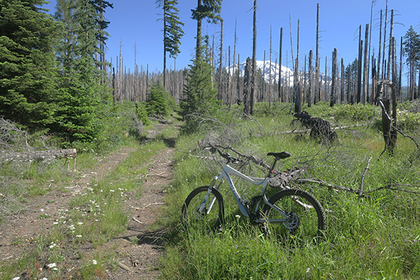 Riding mountain bikes near Mt Adams