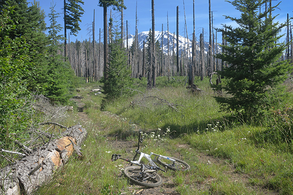 Mountain bike riding near Mt Adams