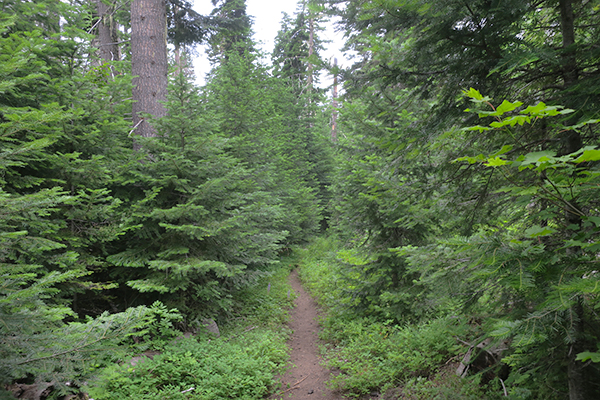 Cascade Mountain trail overcast conditions