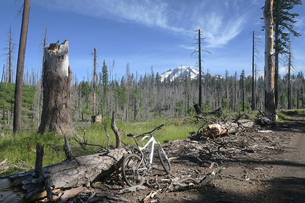 Mountain bike riding near Mt Adams