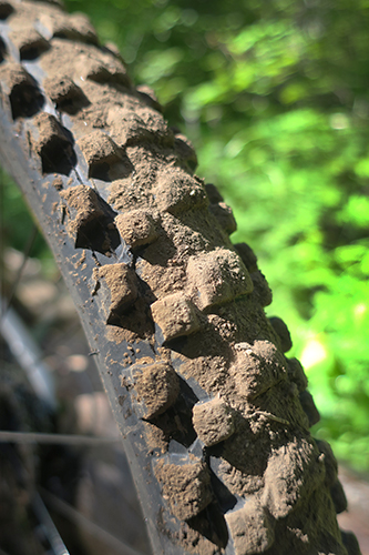 Trail conditions perfect for mountain bike riding