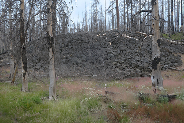 Ancient lava flow from erupting Mt. Adams in the Cascade Mountains