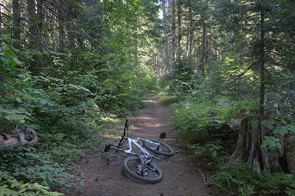 Early morning mountain biking on a Cascade Mountain trail