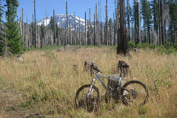 Mountain biking near Mt Adams