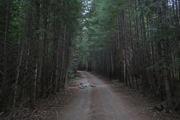 Dark Cascade Mountain forest service road