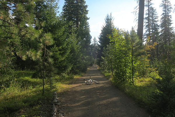 Early morning mountain road