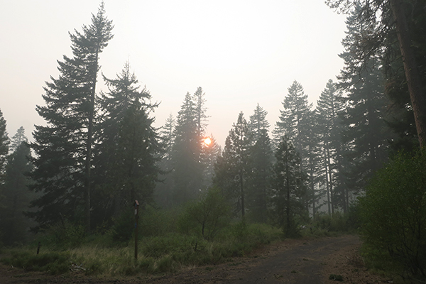 Fire smoke in the Cascade Mountains