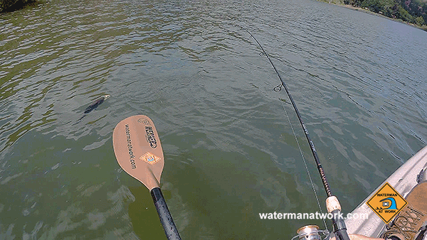 Kayak fishing on the Columbia River with watermanatwork.com