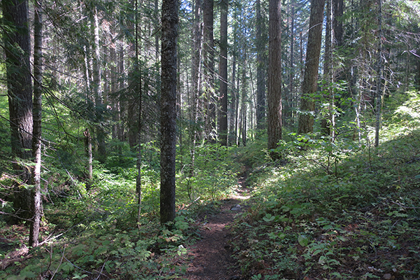 Perfect trail conditions after rain storm