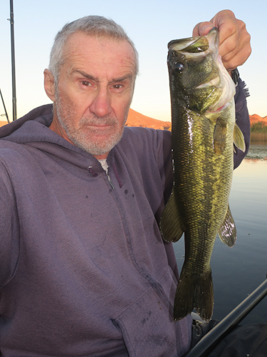 Early morning Colorado River largemouth bass caught by watermanatwork.com kayak fisherman Ron Barbish