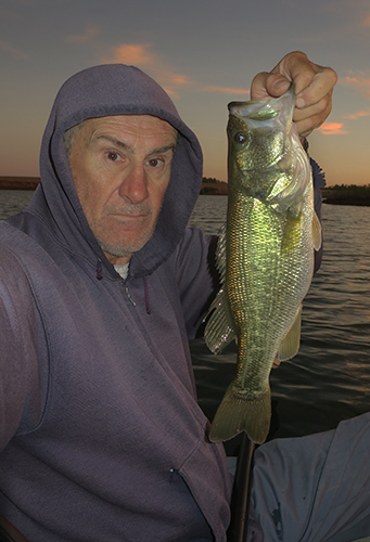 Nice Colorado River largemouth bass caught by watermanatwork.com kayak fisherman Ron Barbish