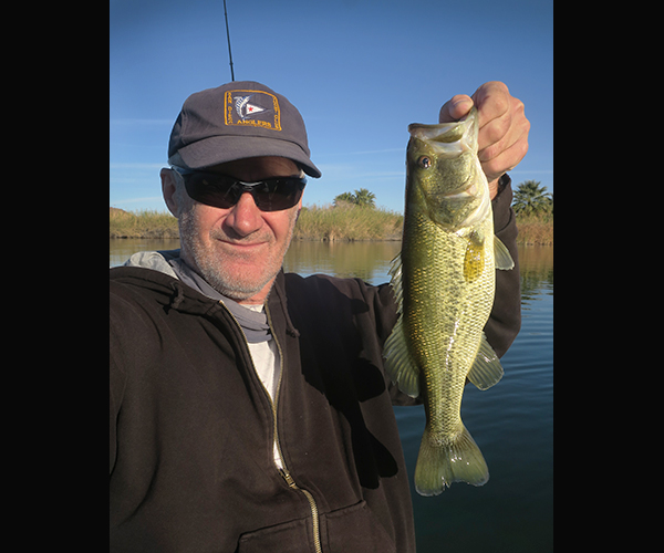 Colorado River largemouth bass caught at sunrise by watermanatwork.com kayak fisherman Ron Barbish