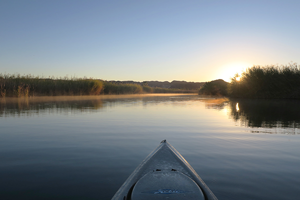 Sunrise over the Colorado River wetlands