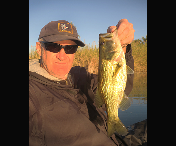 Colorado River largemouth bass caught at sunrise by watermanatwork.com kayak fisherman Ron Barbish