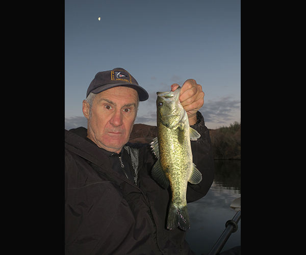 Colorado River largemouth bass caught just before dawn under a half moon