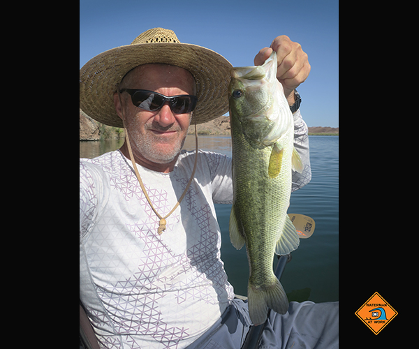 Colorado River largemouth bass caught by watermanatwork.com kayak fisherman Ron Barbish