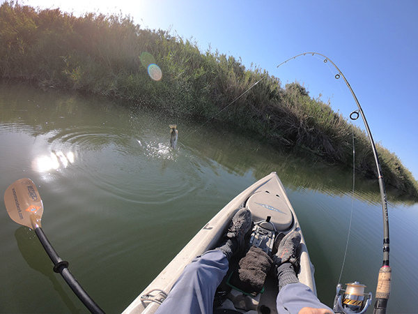 Kayak fishing on the Colorado River with watermanatwork.com