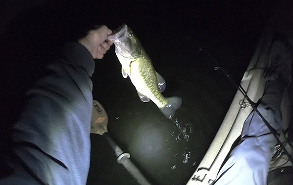 Kayak fishing at night for largemouth bass on the lower Colorado River with watermanatwork.com