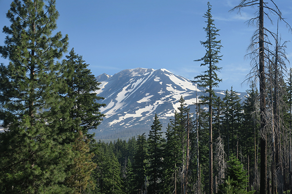 Mt. Adams 7-1-21