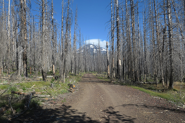 Cascade Mtn road. Mt Adams