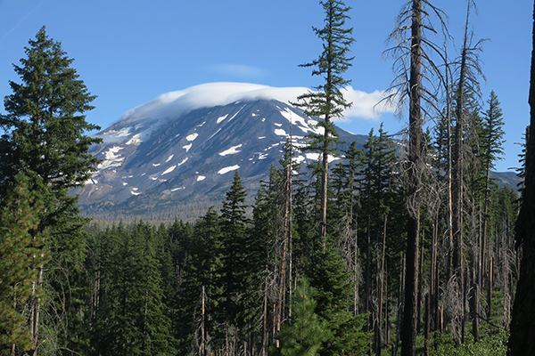 Cloud capped Mt Adams 8-7-21