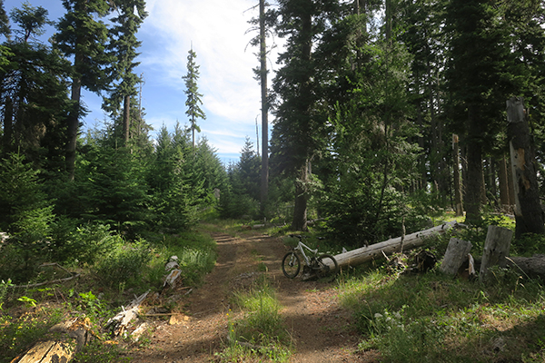 Early morning mountain road in the Cascade Mountains