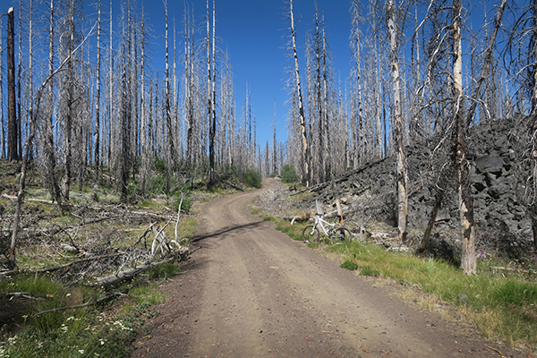 Forest Service over ancient Mt Adams lava flow