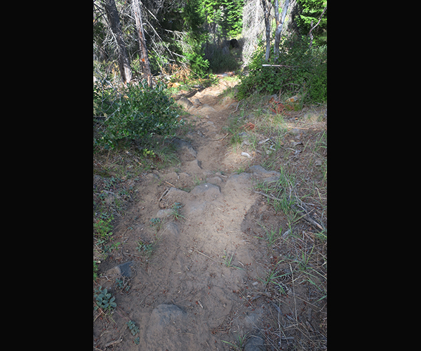 Rocky section of a Cascade Mtn trail