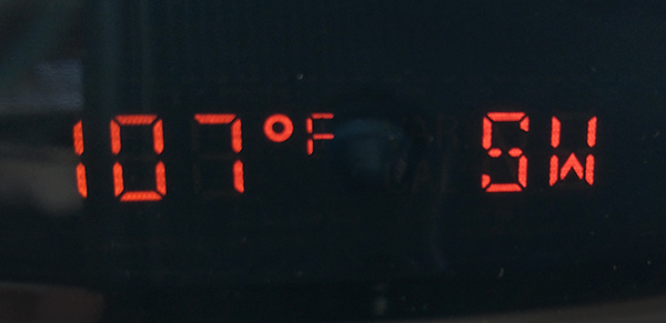 107°F desert heat