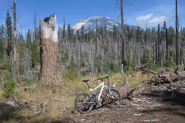 Mountain bike riding in the Cascade Mountains near Mt Adams