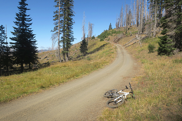 Steep Cascade Mountain road