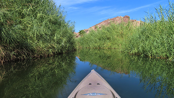 Kayak fishing Colorado River backwaters