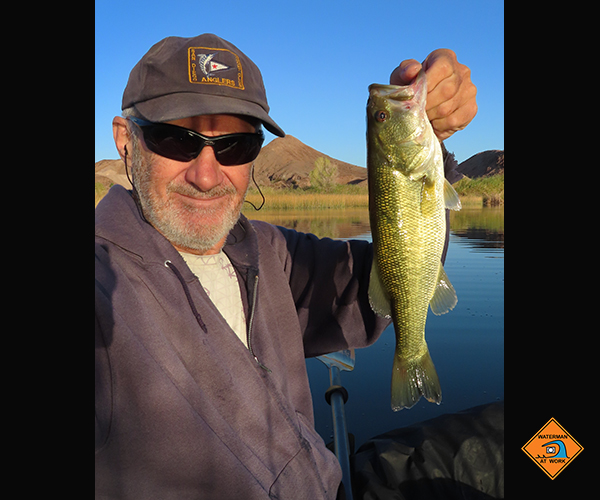 Colorado River largemouth bass caught by watermanatwork.com kayak fisherman Ron Barbish