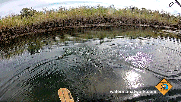 Kayak fishing for largemouth bass on the Colorado River with watermanatwork.com