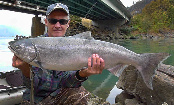 Coho Salmon caught on the Columbia River 9-24-14