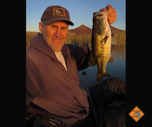 Colorado River largemouth bass caught at sunrise by watermanatwork.com kayak fisherman Ron Barbish