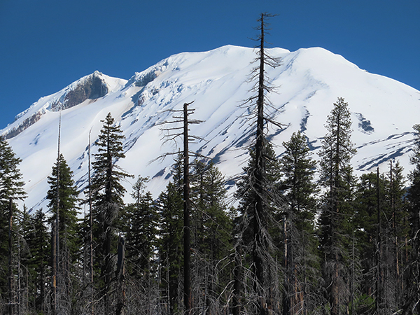 Snow covered Mt Adams