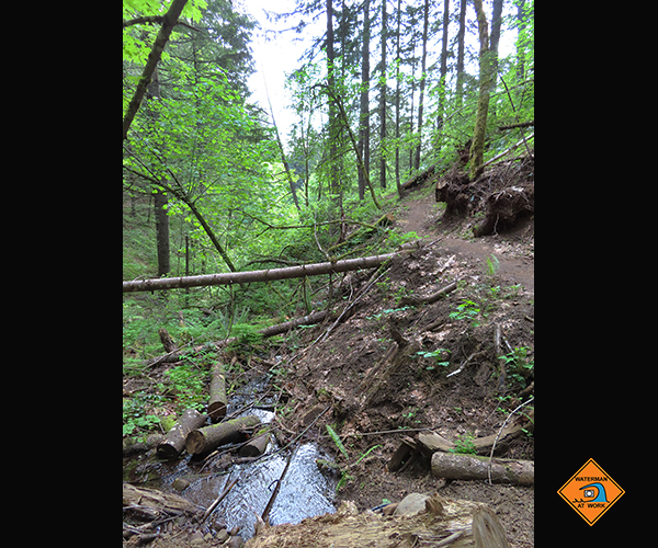 Cascade Mountain trail