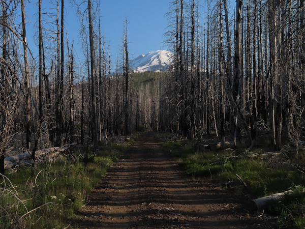 Mt Adams 