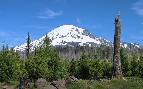 Mt Adams