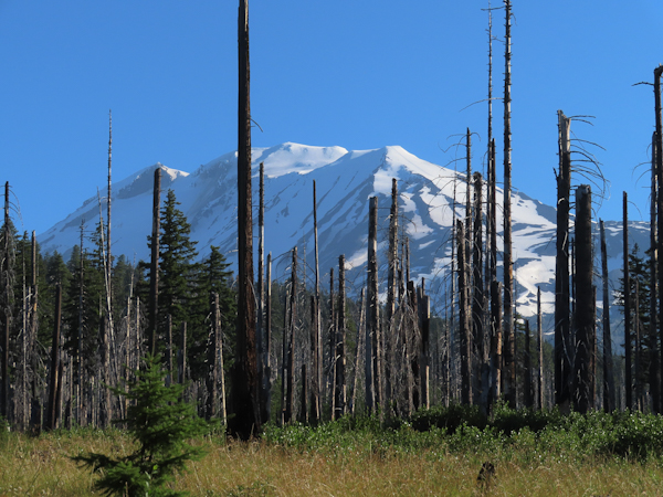 Mt Adams 7-25-22
