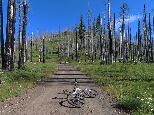 Cascade Mtn road