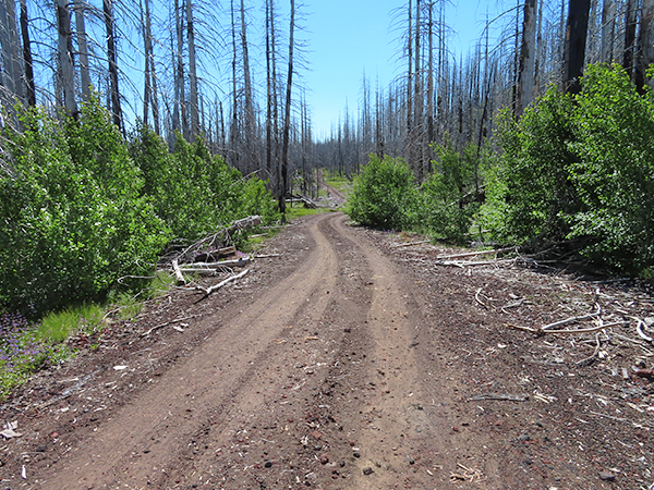 Cascade Mountain road