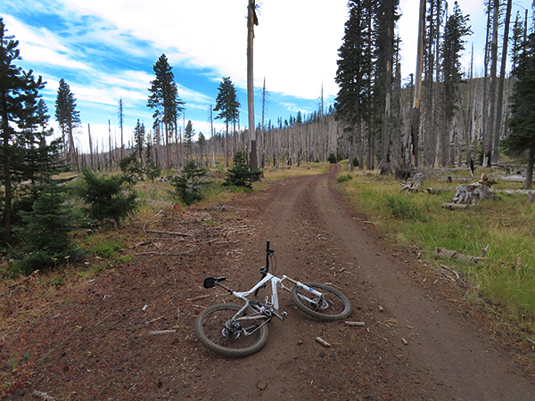 Mostly cloudy day in the Cascade Mtns